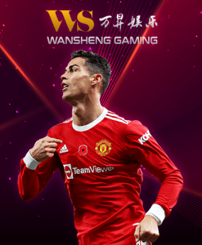 wansheng gaming